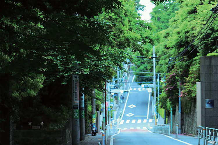 南平台町周辺の街並み｜ザ・パークハウス渋谷南平台